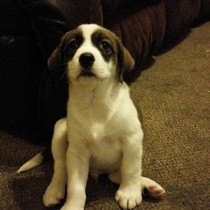 Meet your Posher, Ezekiel